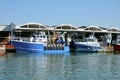 Fishing boats at Dieppe in France