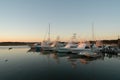 Fishing boats at dock at sunset with seagull flying by Royalty Free Stock Photo