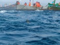 Fishing boats with fishermen raising fishing nets Royalty Free Stock Photo