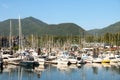 Fishing boats in the harbour on a sunny day at Ucluelet, British Columbia