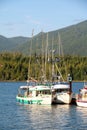 Fishing boats in the harbour on a sunny day at Ucluelet, British Columbia