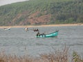 Fishing boats lined along the shore. India, Karnataka