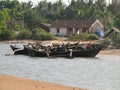 Fishing boats lined along the shore. India, Karnataka