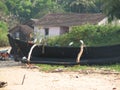 Fishing boats lined along the shore. India, Karnataka