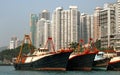 Fishing boats moored in Aberdeen Harbor, Hong Kong Royalty Free Stock Photo