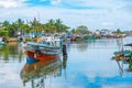 Fishing boats mooring at the shore of Negombo lagoon in Sri Lank