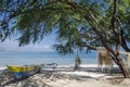 Areia branca tropical beach in dili east timor leste