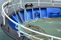 Fishing boat in northern Spain, Basque country Royalty Free Stock Photo