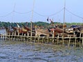 Fishing boats, Maheshkahli Island, Coxs Bazar