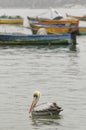 Fishing boats and pier and pelican, chorrillos, lima, peru. water sky clouid