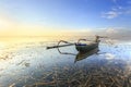 Fishing boats populate the shoreline at the Sanur beach