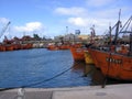 Fishing boats in the port of Mar del Plata Buenos Aires Argentina
