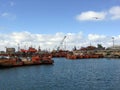 Fishing boats in the port of Mar del Plata Buenos Aires Argentina