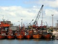 Fishing boats in the port of Mar del Plata Buenos Aires Argentina