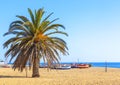 Fishing boats rest on a golden sand beach