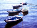 Fishing boats resting on the TapajÃÂ³s river Royalty Free Stock Photo