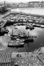 Fishing boats, San Sebastian Bay, Northern Spain Royalty Free Stock Photo