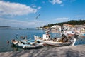 Fishing boats and seagulls