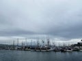 Fishing boats in the harbor marina, Bodega Bay, California Royalty Free Stock Photo