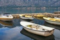 Fishing boats in small harbor, autumn. Montenegro, Bay of Kotor near Prcanj town