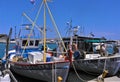 Fishing boats at their moorings, Chania, Crete