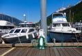 Fishing boats tied to a wharf in alaska