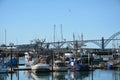 Fishing boats tied up at the dock in Newport, Oregon Royalty Free Stock Photo