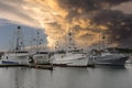 Fishing boats in Tuna Harbor at sunset in San Diego, California