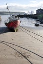 Fishing boats tied up in Youghal bay