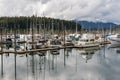 Fishing boats and tour ships docked in the harbor at Hoonah Alaska Royalty Free Stock Photo