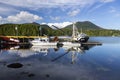 Fishing Boats in Ucluelet Harbor on Vancouver Island, British Columbia Canada