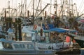 Fishing boats and yachts packed in the marina of the Steveston pier  BC  Canada Royalty Free Stock Photo