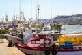 Fishing boats and yachts in port Blanes. Spain Royalty Free Stock Photo