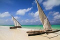 Fishing boats in Zanzibar Royalty Free Stock Photo