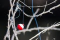 Fishing Bobber Entangled in the Dried Tree Branches Royalty Free Stock Photo