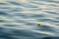 Fishing bobber on the water Royalty Free Stock Photo