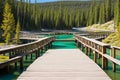 a fishing bridge in the national park. Royalty Free Stock Photo