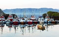 Fishing business boats