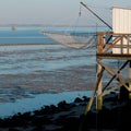 Fishing cabin and carrelet net