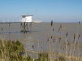 Fishing cabin and carrelet net