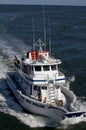 Fishing Charter in Avalon, New Jersey