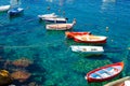 Fishing colorful multicolored boats on transparent clear water with visible bottom in small stone harbor of Riomaggiore village Na