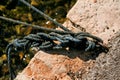 Fishing colorful rope tied to a hook, close up