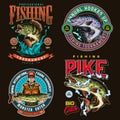 Fishing colorful vintage labels Royalty Free Stock Photo