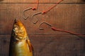 Fishing Concept Royalty Free Stock Photo