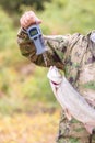 Fishing concept. Asp predatory freshwater fish on weight scales in fisherman hands. Royalty Free Stock Photo