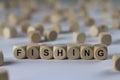 Fishing - cube with letters, sign with wooden cubes Royalty Free Stock Photo