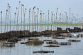 Fishing dam and fish traps in Taungthaman Lake - Myanmar