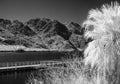 Fishing dock at Willow Beach, Arizona, Infrared