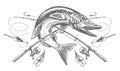 Jumping fish pike and crossed fishing rods with tackle and hooks. Fishing emblem sketch. Engraving vector illustration Royalty Free Stock Photo